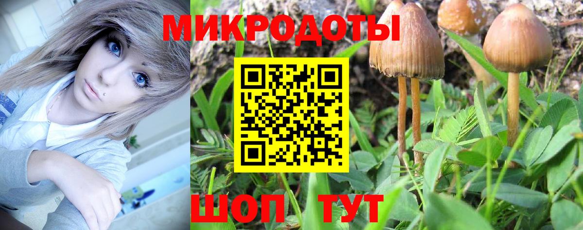 Кириши  Галлюциногенные грибы Magic Shrooms  Вход с VPN 